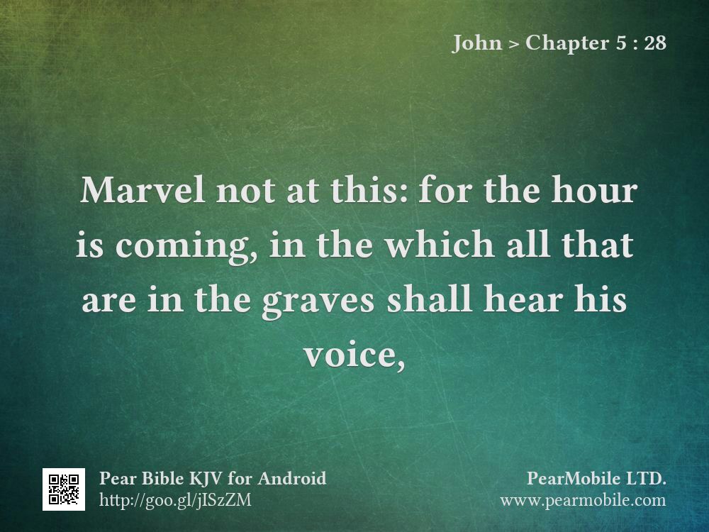 John, Chapter 5:28